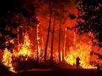 A file image of a wildfire