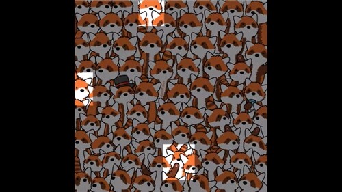 Brain Teaser: The image highlights three foxes among the red pandas. (Gergely Dudás) Brain Teaser: The image highlights three foxes among the red pandas. (Gergely Dudás)