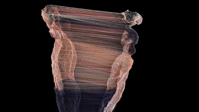 ‘Marana [Demise] series, 2022-2023,’ photogrammetry and direction by Vishal Kumaraswamy, generative image processing by Emilia Trevisani. Artist Vishal Kumaraswamy employs experimental technological processes to relay how grief moves through the human body, as the body moves through public space. Marana [Demise] presents an articulation of death in the artist’s Dalit community, and the celebratory practices of mourning that follow, writes Tanvi Mishra, the curator of the exhibition.&nbsp; (Vishal Kumaraswamy)