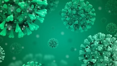 The World Health Organization (WHO) has identified a new EG.5 variant of COVID-19, known as the Eris strain (Pixabay) The World Health Organization (WHO) has identified a new EG.5 variant of COVID-19, known as the Eris strain (Pixabay)