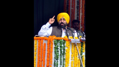 Punjab chief minister Bhagwant Mann (ANI)