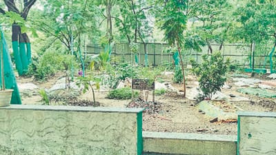 The Pankesha Baba graveyard in Ghatkopar with an area of 1.5 acre, caters to a Muslim population of over 20 lakh, extending to areas of Pantanagar, Golibar, Vikhroli and Powai. They have requested the civic body to join the recreational ground adjacent to the cemetery for more space. (HT Photo) The Pankesha Baba graveyard in Ghatkopar with an area of 1.5 acre, caters to a Muslim population of over 20 lakh, extending to areas of Pantanagar, Golibar, Vikhroli and Powai. They have requested the civic body to join the recreational ground adjacent to the cemetery for more space. (HT Photo)