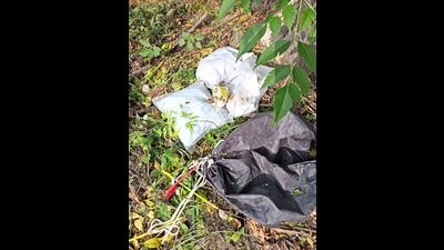 The drugs were found in a plastic bag that had been dropped by a drone in the area of Machiwara village. (Twitter)