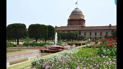 The gardens are normally opened to the public once annually between February and March. (HT PHOTO) The gardens are normally opened to the public once annually between February and March. (HT PHOTO)