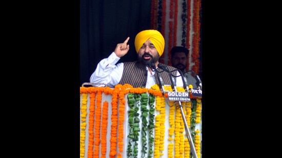 Punjab chief minister Bhagwant Mann (ANI)