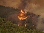 The flames advance through the forest near the town of El Rosario, as wildfire continues to burn on Tenerife, Canary Islands, Wednesday, Aug. 16, 2023. An out-of-control wildfire on the Spanish Canary island of Tenerife has burned some 2,600 hectares (6,400 acres) of land and forced the evacuation of some 300 people from several small towns, Canary Islands regional president Fernando Clavijo said Thursday. The flames advance through the forest near the town of El Rosario, as wildfire continues to burn on Tenerife, Canary Islands, Wednesday, Aug. 16, 2023. An out-of-control wildfire on the Spanish Canary island of Tenerife has burned some 2,600 hectares (6,400 acres) of land and forced the evacuation of some 300 people from several small towns, Canary Islands regional president Fernando Clavijo said Thursday.