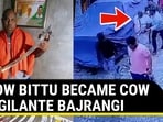 HOW BITTU BECAME COW VIGILANTE BAJRANGI