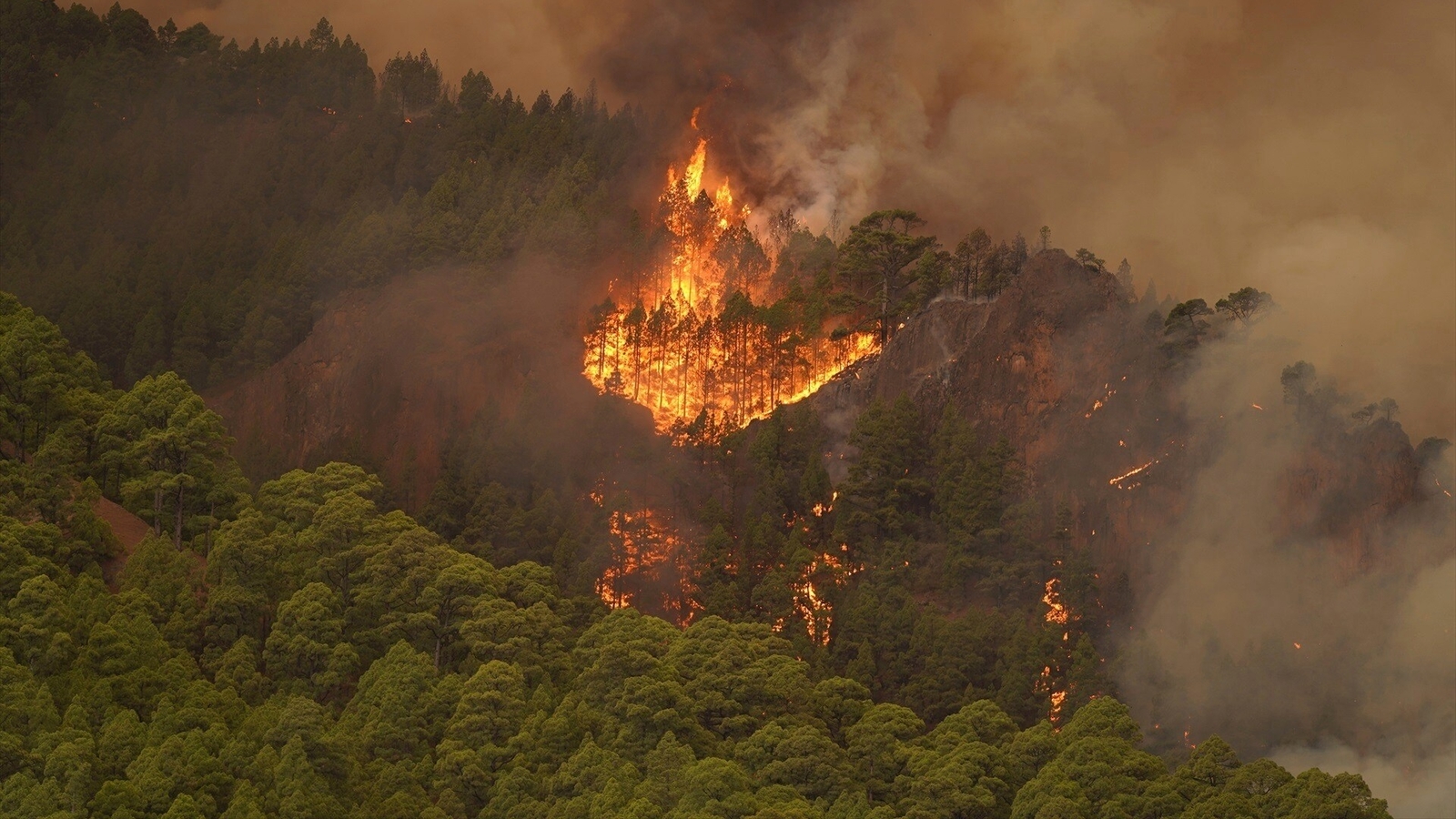 After Maui, wildfire in Spain's Tenerife burns 'out of control' | World News - Vimarsana News