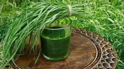 Wheat grass juice is a rich source of magnesium and potassium and helps in lowering blood pressure. (Unsplash) Wheat grass juice is a rich source of magnesium and potassium and helps in lowering blood pressure. (Unsplash)