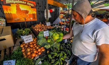 A person at a vegetable market in Budapest. Credit: AFP A person at a vegetable market in Budapest. Credit: AFP