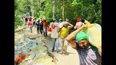 People carrying sand bags to plug the breach in dhusi bandh, Gurdaspur, on Thursday. (HT Photo) People carrying sand bags to plug the breach in dhusi bandh, Gurdaspur, on Thursday. (HT Photo)