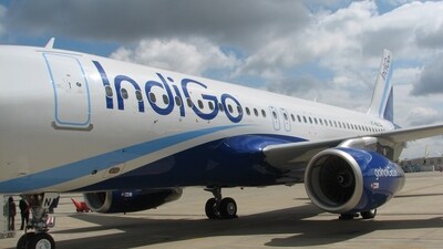 IndiGo airline (MINT_PRINT)