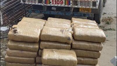 The seized consignment of cannabis at the Assam-Tripura border on Wednesday. The seized consignment of cannabis at the Assam-Tripura border on Wednesday.