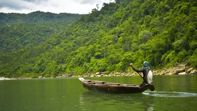 Meghalaya launches 'Travellers Nest' close to the sacred forests of the Khasis (Unsplash) Meghalaya launches 'Travellers Nest' close to the sacred forests of the Khasis (Unsplash)