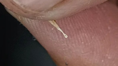 An individual holding world’s smallest wooden spoon between fingers. (Guinness World Records) An individual holding world’s smallest wooden spoon between fingers. (Guinness World Records)