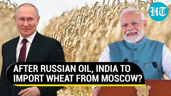 India To 'Import' Discounted Russian Wheat; May Settle Payments In Dollars