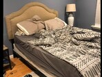 Can you spot the dog hiding in plain sight? Can you spot the dog hiding in plain sight?