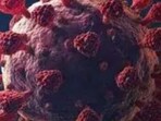 Researchers attribute the recent surge in cases to the XBB.1.16 covid-19 variant.