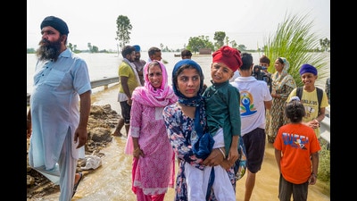 Residents shift to a safer place from a flood-affected area as the swollen Beas river inundates nearby areas following heavy monsoon rains, near Jalandhar, on Friday. (PTI) Residents shift to a safer place from a flood-affected area as the swollen Beas river inundates nearby areas following heavy monsoon rains, near Jalandhar, on Friday. (PTI)