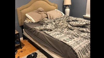 Can you spot the dog hiding in plain sight? (Reddit) Can you spot the dog hiding in plain sight? (Reddit)