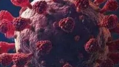 Researchers attribute the recent surge in cases to the XBB.1.16 covid-19 variant. Researchers attribute the recent surge in cases to the XBB.1.16 covid-19 variant.