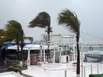 Wind blows palm trees at the Medano beach before the arrival of hurricane Hilary at Los Cabos resort in Baja California state, Mexico. Wind blows palm trees at the Medano beach before the arrival of hurricane Hilary at Los Cabos resort in Baja California state, Mexico.