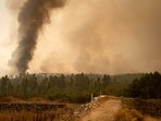 Fire advances through the forest in La Orotava in Tenerife, Canary Islands, Spain on Saturday. 