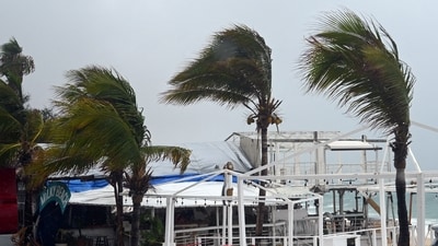 Wind blows palm trees at the Medano beach before the arrival of hurricane Hilary at Los Cabos resort in Baja California state, Mexico on August 18, 2023 (Photo by ALFREDO ESTRELLA / AFP) (AFP) Wind blows palm trees at the Medano beach before the arrival of hurricane Hilary at Los Cabos resort in Baja California state, Mexico on August 18, 2023 (Photo by ALFREDO ESTRELLA / AFP) (AFP)