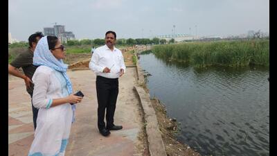 Lucknow divisional commissioner Roshan Jacob and other officers inspecting the wetland at CG City on August 19. (Sourced)
