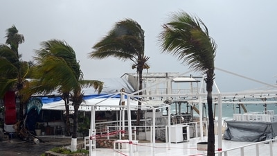 Wind blows palm trees at the Medano beach before the arrival of hurricane Hilary at Los Cabos resort in Baja California state, Mexico. (AFP) Wind blows palm trees at the Medano beach before the arrival of hurricane Hilary at Los Cabos resort in Baja California state, Mexico. (AFP)