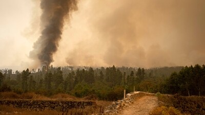 Fire advances through the forest in La Orotava in Tenerife, Canary Islands, Spain on Saturday. (AP) Fire advances through the forest in La Orotava in Tenerife, Canary Islands, Spain on Saturday. (AP)