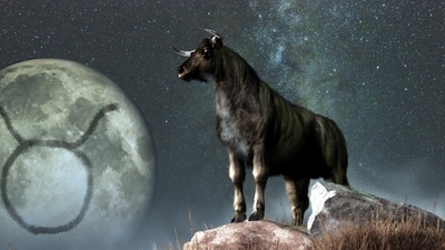 Weekly Horoscope Taurus, August 20-24, 2023: Money-related issues will exist but your health is good this week. (shutterstock)