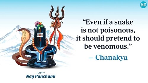 On Nag Panchami, snakes are worshipped. On Nag Panchami, snakes are worshipped.