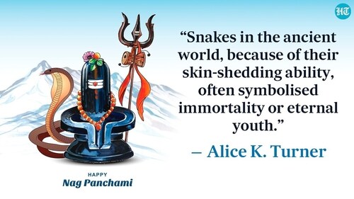On Nag Panchami, live snakes are worshipped with milk. On Nag Panchami, live snakes are worshipped with milk.