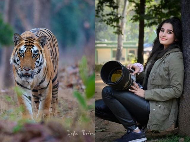 EXCLUSIVE: Rasha Thadani credits mom Raveena Tandon for inspiring her to get into wildlife photography EXCLUSIVE: Rasha Thadani credits mom Raveena Tandon for inspiring her to get into wildlife photography