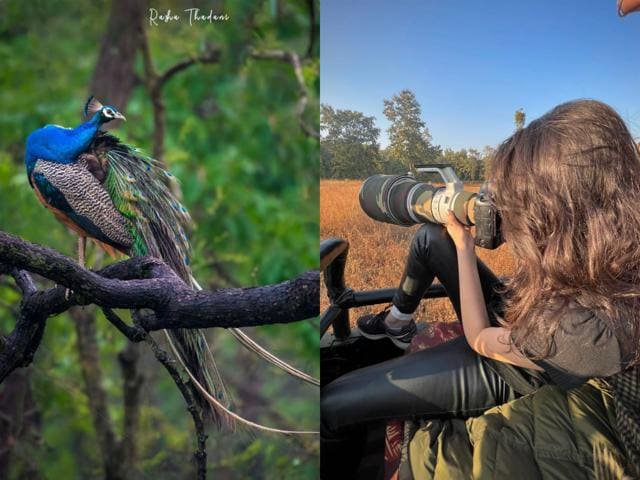 EXCLUSIVE: Rasha Thadani credits mom Raveena Tandon for inspiring her to get into wildlife photography EXCLUSIVE: Rasha Thadani credits mom Raveena Tandon for inspiring her to get into wildlife photography