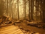 Canada Wildfires: Property and homes razed by a wildfire in Celista, British Columbia, Canada. Canada Wildfires: Property and homes razed by a wildfire in Celista, British Columbia, Canada.