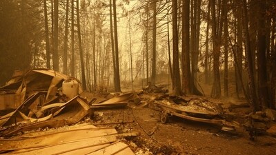 Canada Wildfires: Property and homes razed by a wildfire in Celista, British Columbia, Canada. (Bloomberg) Canada Wildfires: Property and homes razed by a wildfire in Celista, British Columbia, Canada. (Bloomberg)
