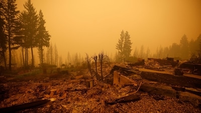 Property and homes destroyed by a wildfire in Celista, British Columbia, Canada. (Bloomberg)