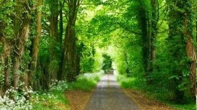 Sometimes, I feel that our lives are also like the green-blue sceneries. (HT File) Sometimes, I feel that our lives are also like the green-blue sceneries. (HT File)