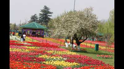 The garden broke all tourist arrival records this year with over 3.70 lakh tourists including domestic as well as local visitors visiting the garden. (File photo) The garden broke all tourist arrival records this year with over 3.70 lakh tourists including domestic as well as local visitors visiting the garden. (File photo)
