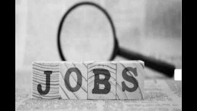 These job opportunities span across various states in the country. (HT Photo)