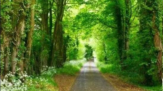 Sometimes, I feel that our lives are also like the green-blue sceneries. (HT File)