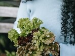 vegetables_hair_growth
