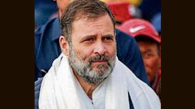 Congress leader Rahul Gandhi, on his maiden visit to Ladakh post revocation of Article 370, met party leaders and workers at Hunder in Nubra Valley and returned to Leh on Monday. (PTI File Photo)