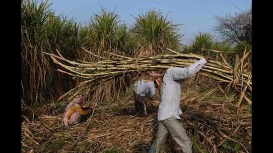 Giving information, sub-divisional magistrate Jai Inder Singh said there was an outstanding arrear to the tune of ₹40 crore approximately. (AFP file)