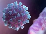 Scientists discovered the lineage of BA.2.86 variant is linked with Omicron subvariant BA.2. NEXU Science Communication/File Photo(via REUTERS)