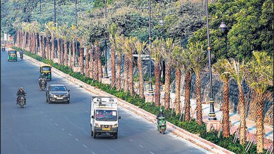 The exercise was initiated nearly a year ago from three nurseries of NDMC — Lodhi Gardens, Madhu Limay Marg and Satya Sadan — from where these plants have been sourced. (HT Archive) The exercise was initiated nearly a year ago from three nurseries of NDMC — Lodhi Gardens, Madhu Limay Marg and Satya Sadan — from where these plants have been sourced. (HT Archive)