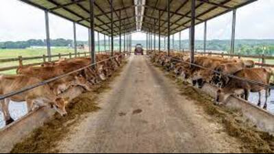 UP Animal Husbandry Minister issues adverse notices to 2 officials; seeks explanation from two other (pic for representation) UP Animal Husbandry Minister issues adverse notices to 2 officials; seeks explanation from two other (pic for representation)