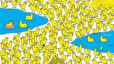 Brain Teaser: Can you find a chick in this image in less than 7 seconds? (Gergely Dudás)